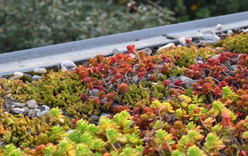 the cost of Westhope green roof installation