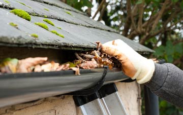 gutter cleaning Westhope