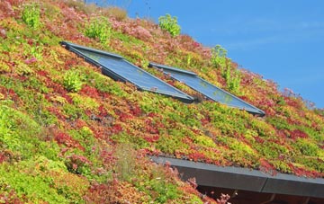 Westhope living roof systems